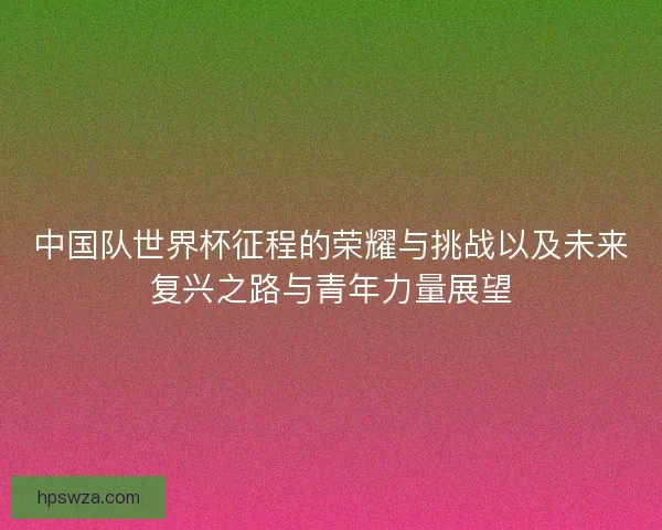 中国队世界杯征程的荣耀与挑战以及未来复兴之路与青年力量展望