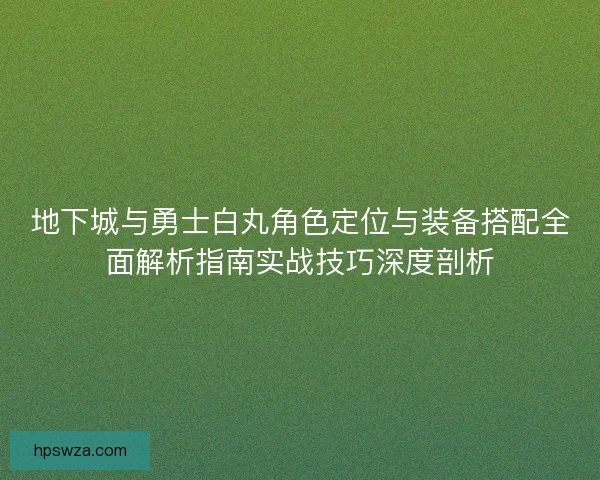 地下城与勇士白丸角色定位与装备搭配全面解析指南实战技巧深度剖析